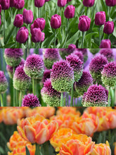 files/Untitled-242_6cd8b240-2b92-49bf-8895-bc57d6e8e065.jpg
